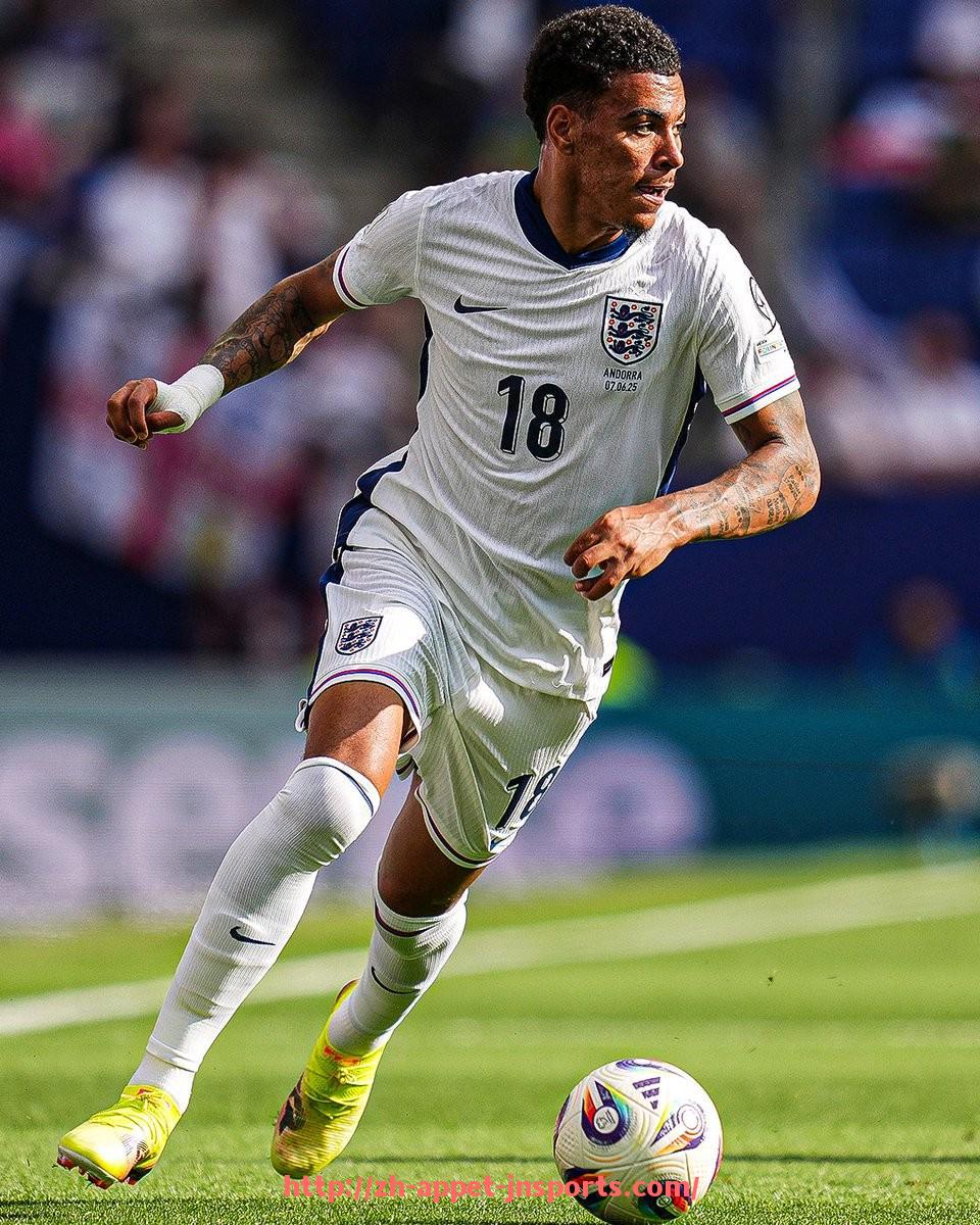 江南体育APP-世俱杯替补席深度对比赛走势影响力与关键替补球员评估